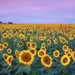 Meet your Posher, Lexy